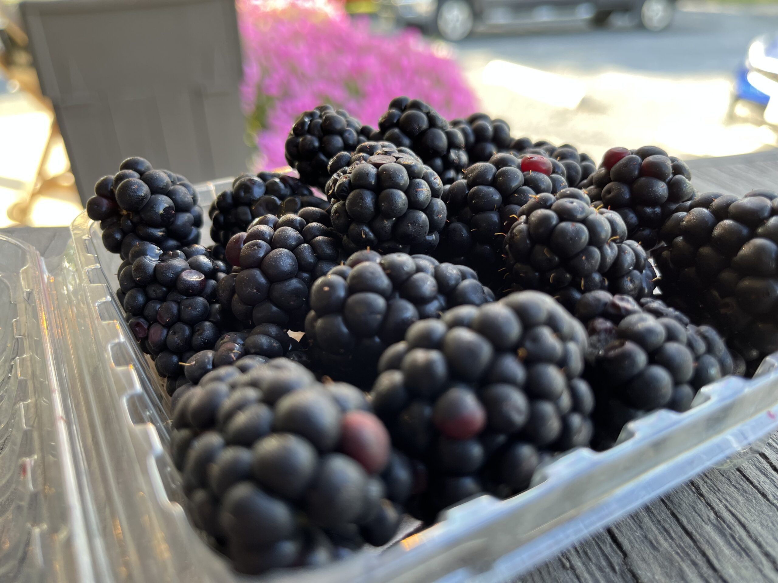 Pick Your Own Berries - Donaldson Farms 