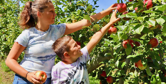 Apple picking at Donaldson Farms - Hackettstown, NJ