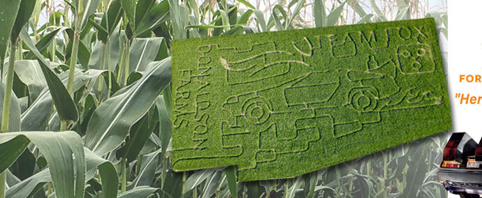 Corn maze 2024