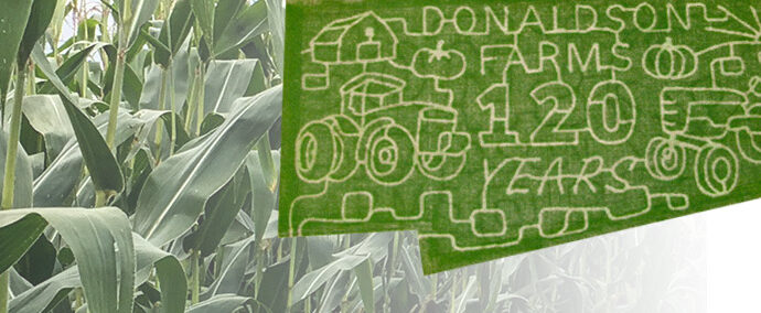 2026 Corn Maze - 120th Anniversary & LocalShare