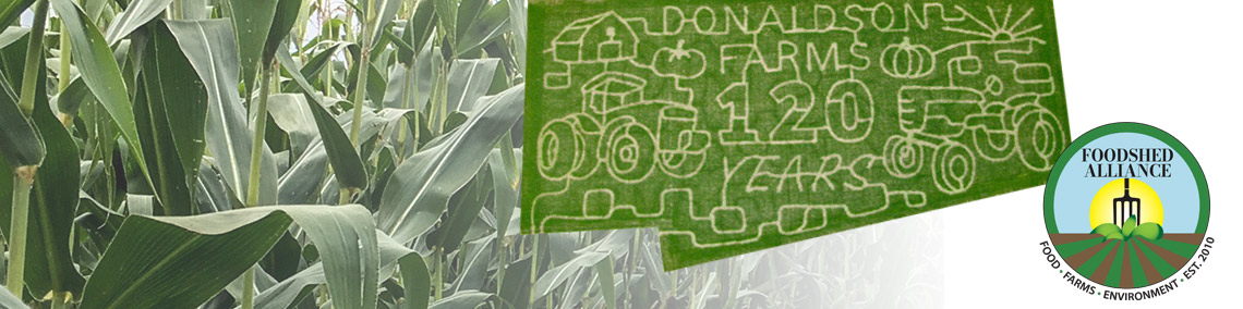 2026 Corn Maze