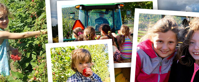 Field Trips at Donaldson Farms - Hackettstown, NJ