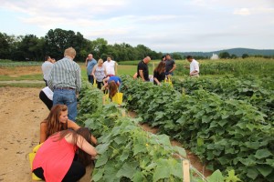 Harvest, Cook, & Dine 2016 with Chef Eric LeVine       