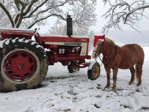 Winter-on-the-farm